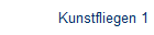 Kunstfliegen 1