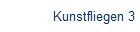 Kunstfliegen 3